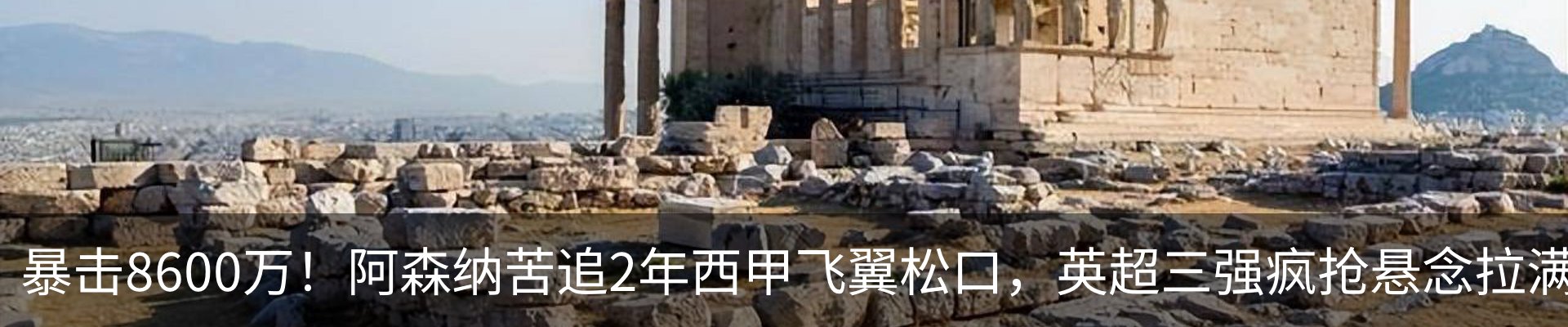 新闻动态